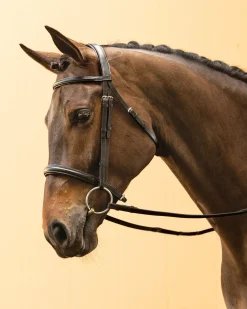 Suffolk™ Single Crown Classic Dressage Bridle