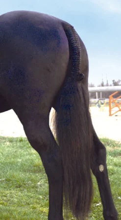 Tail Tamer® Hunter Trophy Tails™