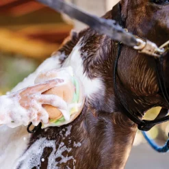 The Tack Hack Burger Body Sponge