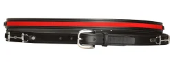 Tory Leather Ribbon & Snaffle Bits Belt