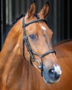 Velociti Lusso Rolled Padded Caveson Bridle