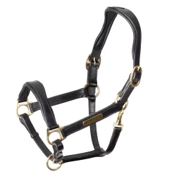 Velociti Rapida Cushioned Leather Halter