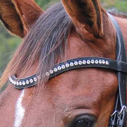 Veritas by Vespucci Contoured Browband with Swarovski® Crystals