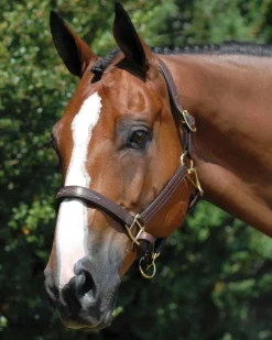 Vespucci Fancy Stitched Halter