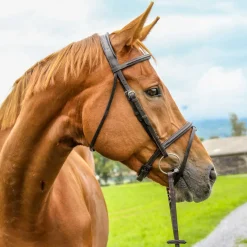Vespucci Plain Raised Jump Bridle