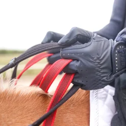 Waldhausen Secutrust Breastplate with Safety Reins