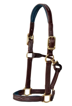 Walsh™ Signature Padded Halter