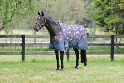 WeatherBeeta® ComFiTec™ Essential Standard Neck Medium-Weight Turnout Blanket