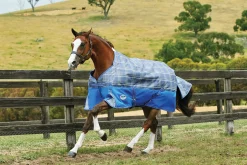 WeatherBeeta® ComFiTec™ Free Standard Neck Medium Weight Turnout Blanket