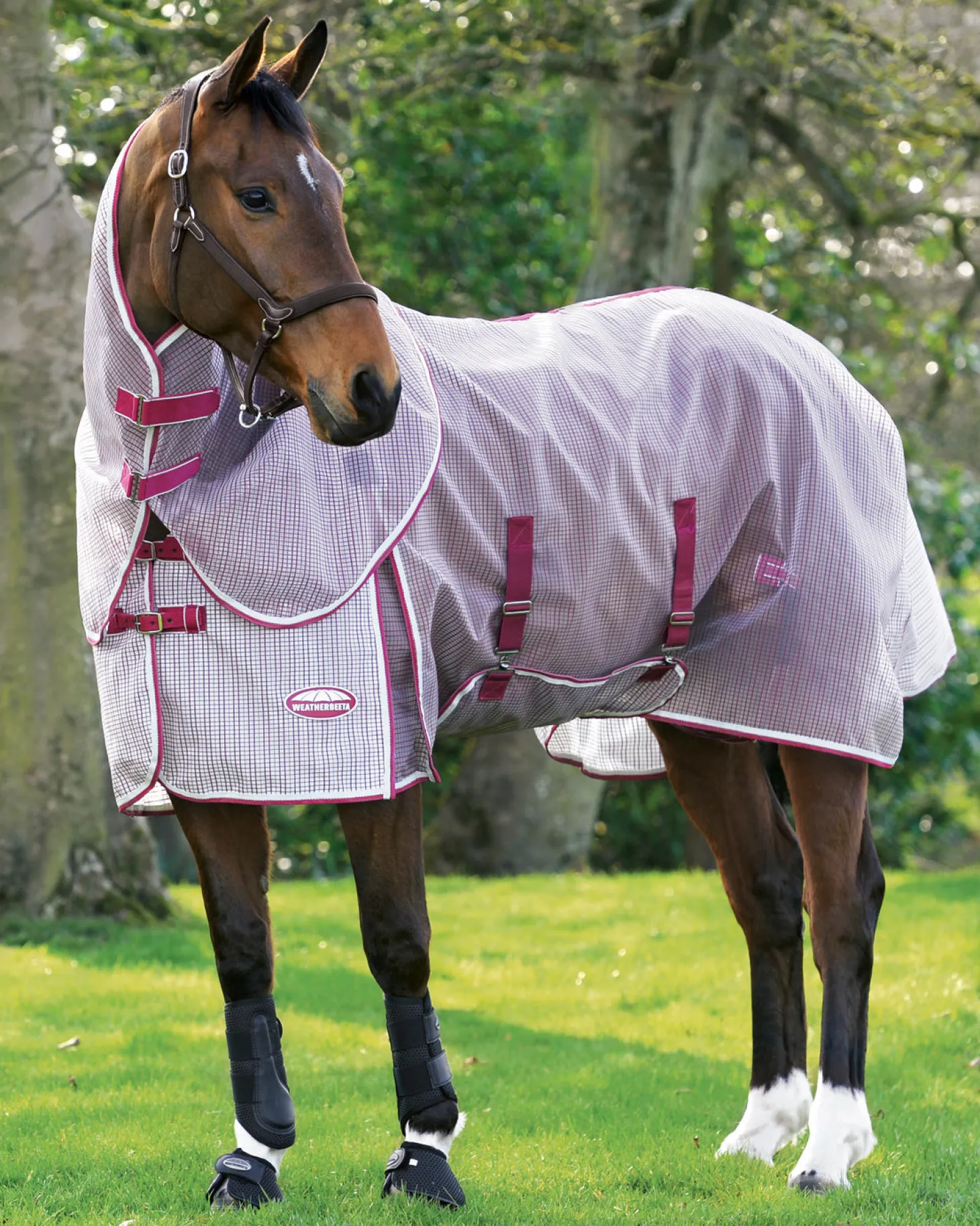 WeatherBeeta® ComFiTec™ Ripshield Detach-A-Neck Fly Sheet