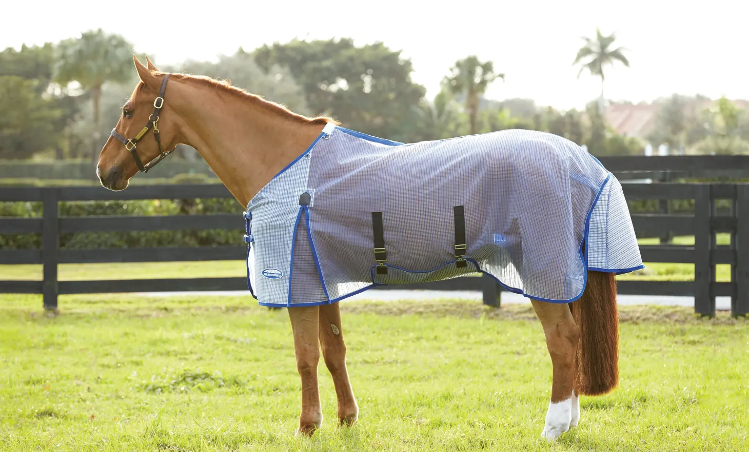 WeatherBeeta® ComFiTec™ Ripshield Detach-A-Neck Fly Sheet