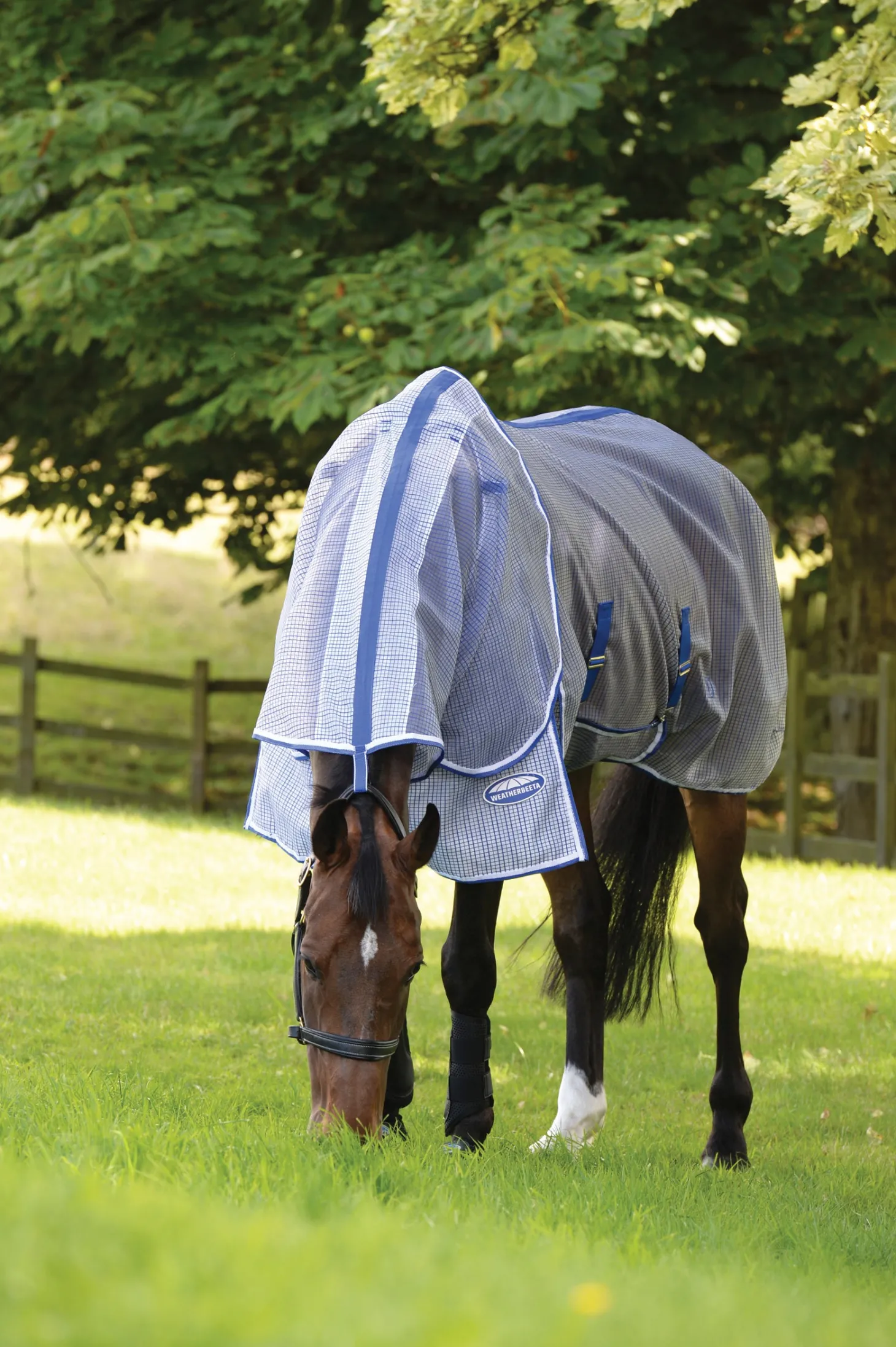 WeatherBeeta® ComFiTec™ Ripshield Detach-A-Neck Fly Sheet