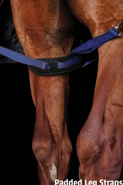 WeatherBeeta® ComFiTec™ Ultra Cozi II Detach-A-Neck Medium-Weight Turnout Blanket