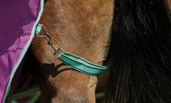 WeatherBeeta® Pony ComFiTec™ Premier Free II Standard Neck Lite Turnout