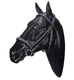 Wintec Bridle