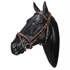 Wintec Bridle with Flash