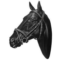 Wintec Bridle with Flash